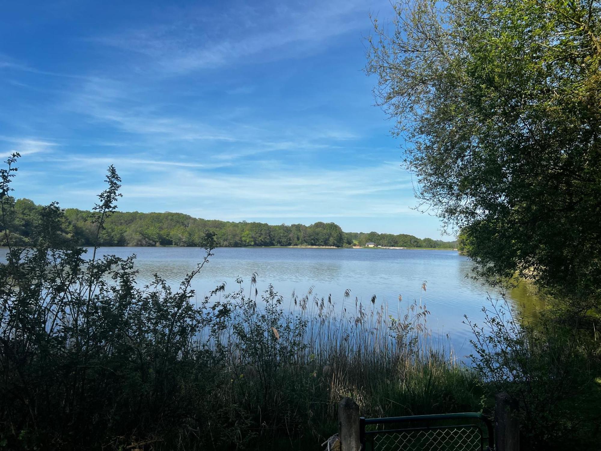 Chalet Au Bord De L'Etang 4 Pers Les Boulmiers Luaran gambar